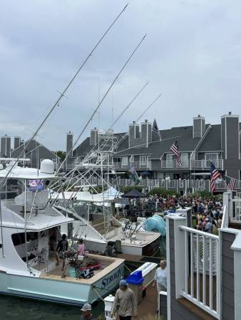 white marlin open 2025 ocean city maryland