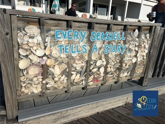 Boardwalk Every Sea Shell tells a story