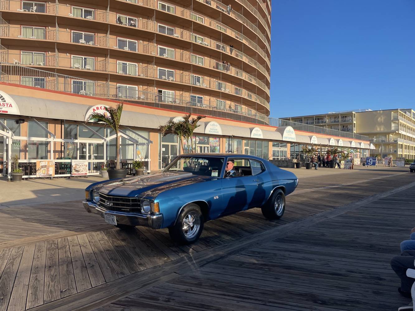 Endless Summer Cruisin’