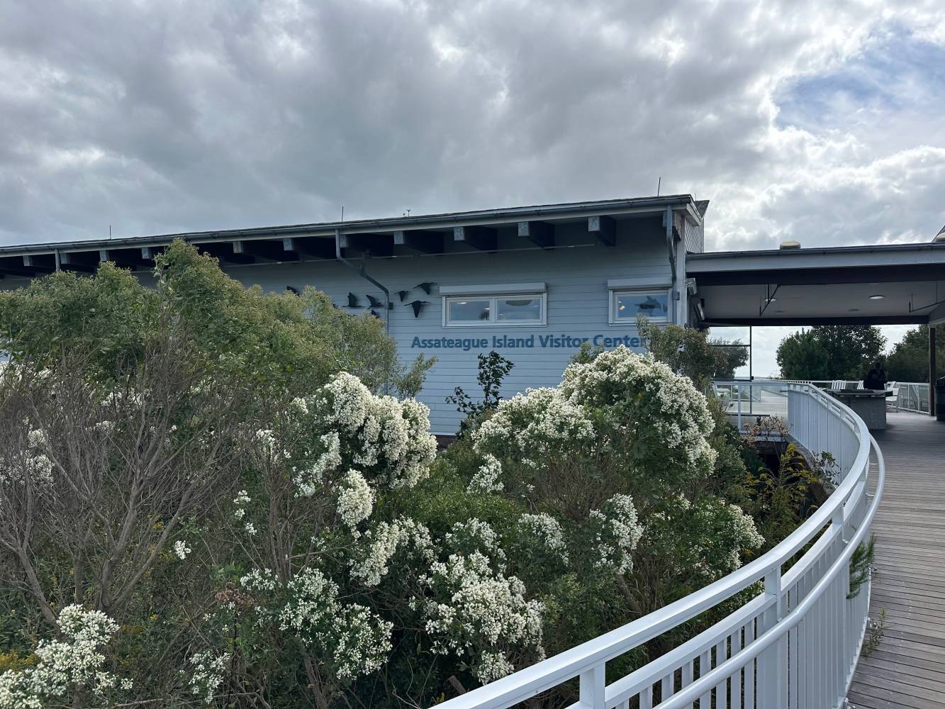 assateague island visitor center