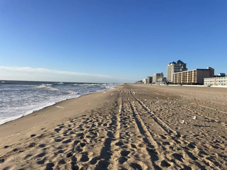 empty beach ocean city md