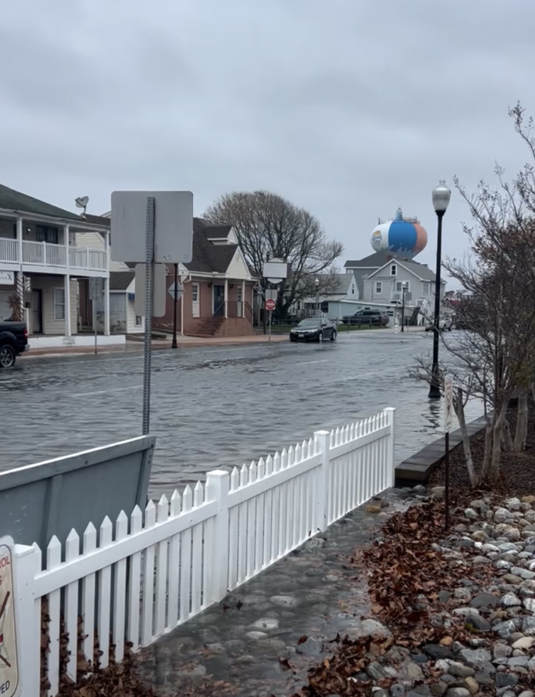 flooding on the bayside