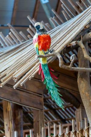 old pro 136th st indoor 040425 23 300x450