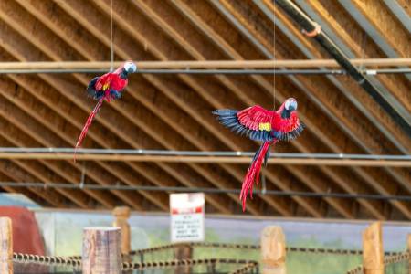 old pro 136th st indoor 040425 32 450x300