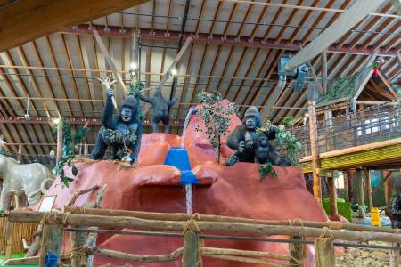 old pro 136th st indoor 040425 60 450x300