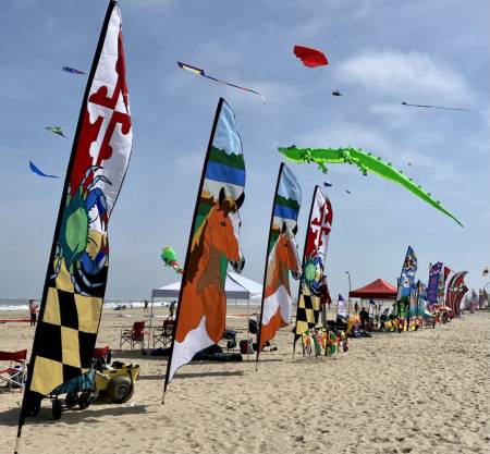 485346578 1091628343004286 2182184614757918337 n 450x417