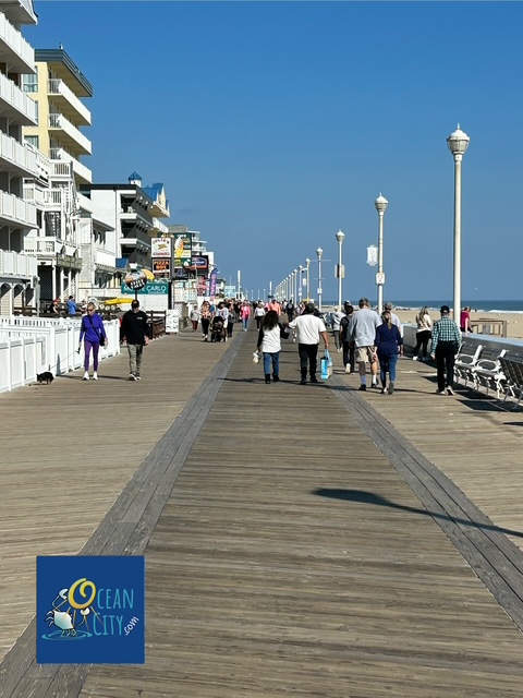 boardwalk view