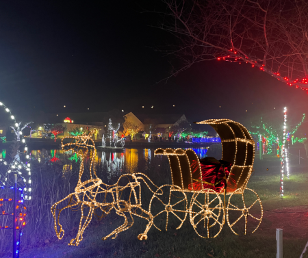 horse drawn carriage ride through the lights 450x377