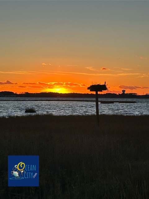 sunset Fenwick Island