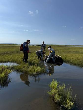 Marsh monitoring in the Coastal Bays. Photo by Carly Toulan
