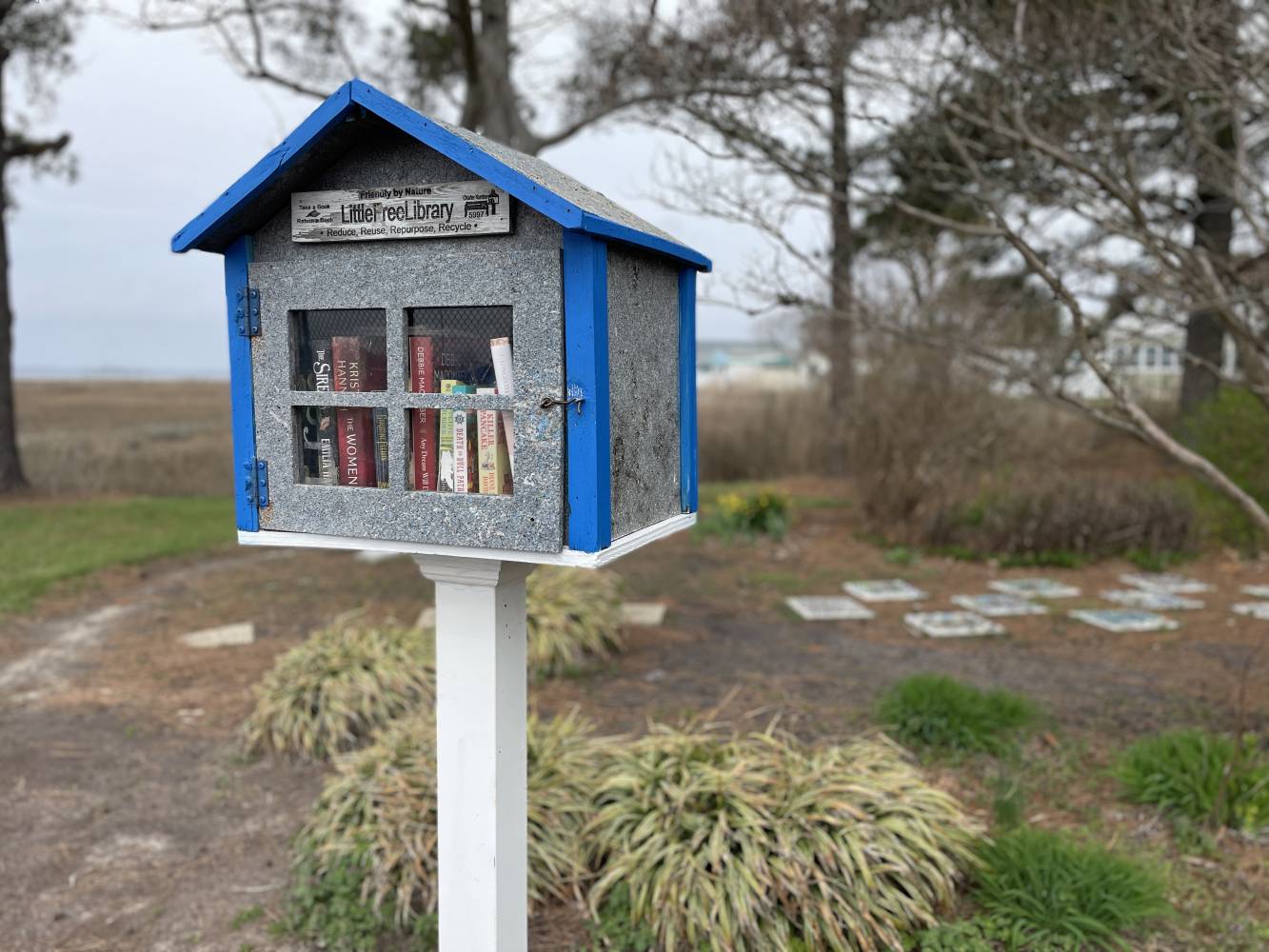Little Free Library at Northside Park