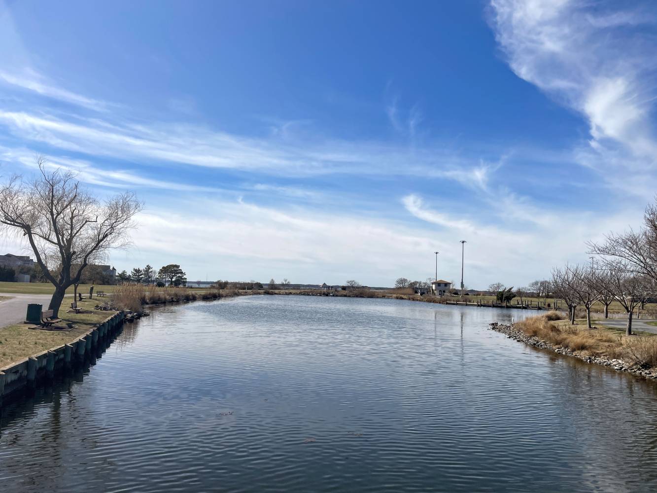 Northside Park, not yet in bloom