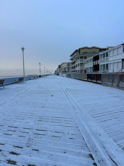 Light frost on Boardwalk