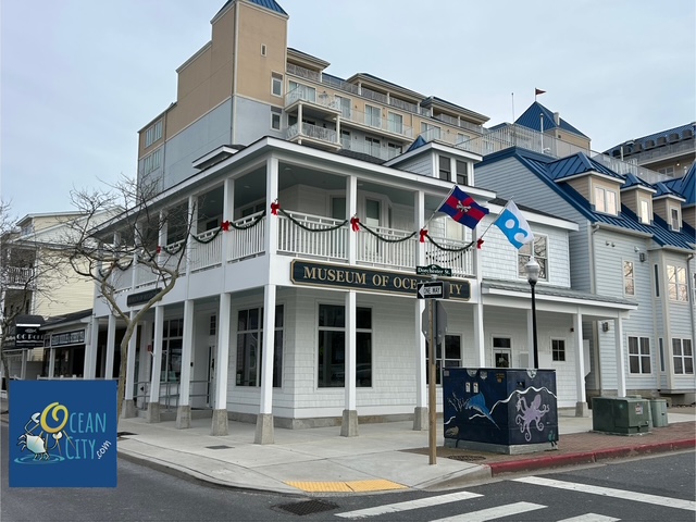 Museum of Ocean City