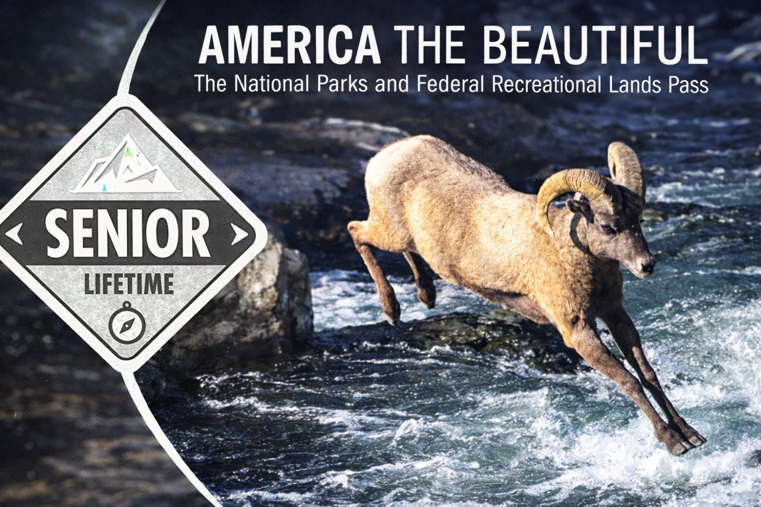 america the beautiful senior pass