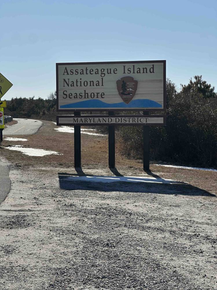 assateague island national seashore