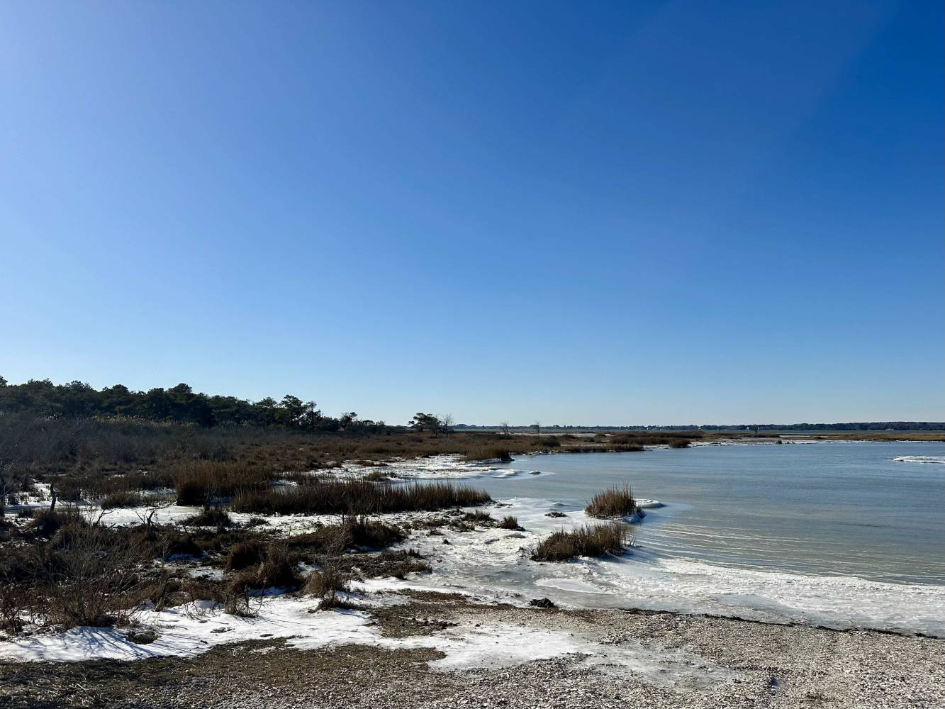 view of bay from Assateague