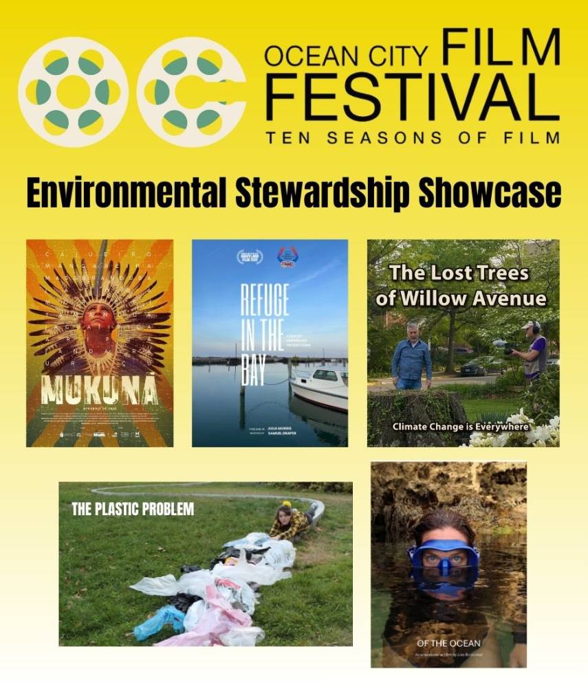 624660812 1473872244745289 3903473987061062809 n