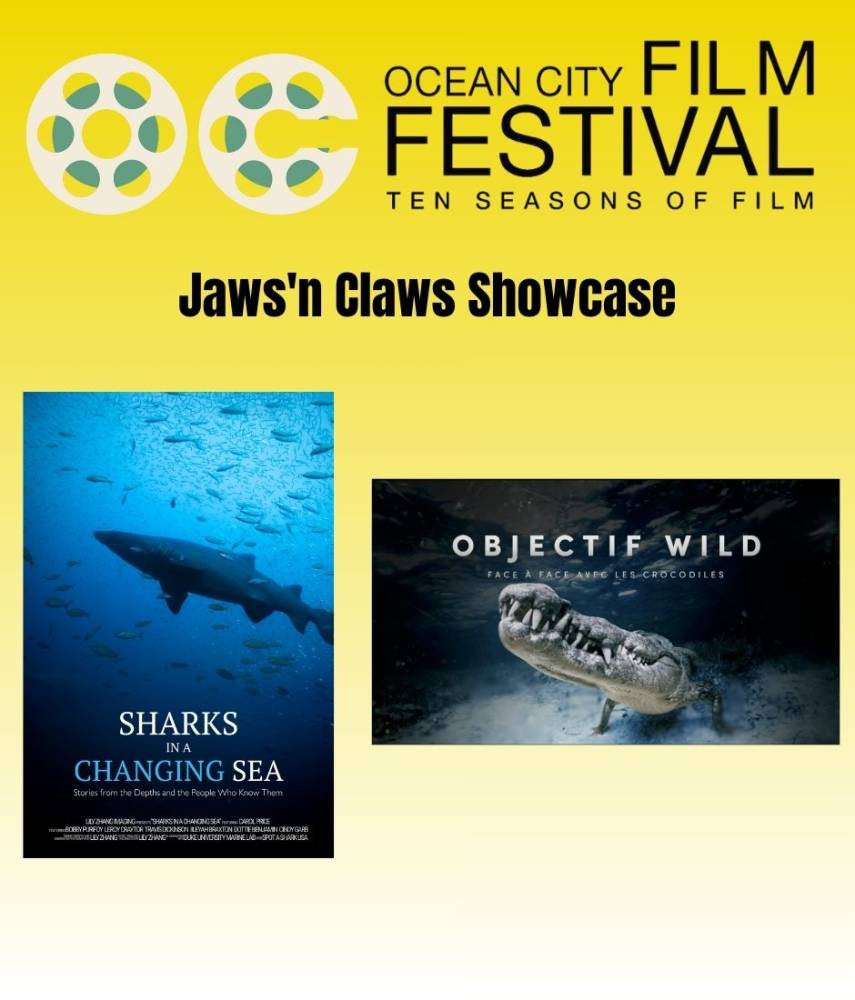 627998144 1480295404102973 5364349710166127736 n