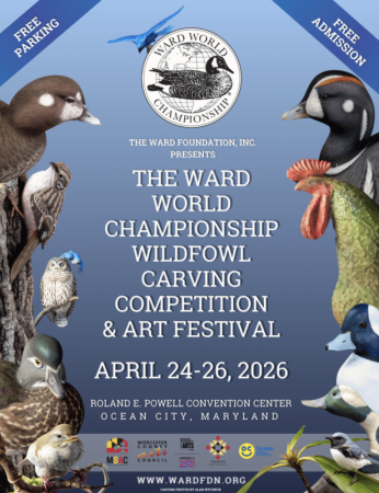 Ward World Championship Wildfowl Carving Competition Art Festival 346x450