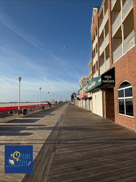 sunny boardwalk day