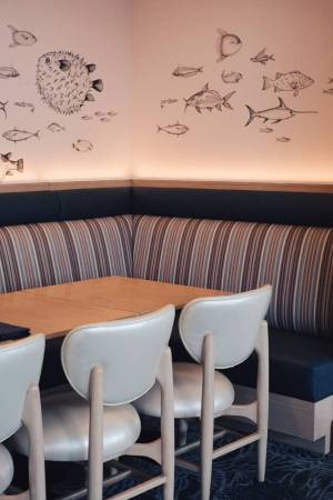 678165807 1998525115159345 7757524661231401968 n 300x450