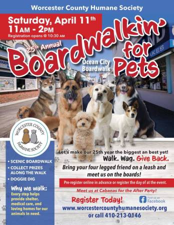 Boardwalkin Flier 3.5.26 scaled 1 348x450