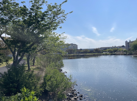 Northside Park 450x333