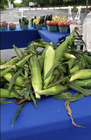 OC Farmers Market 294x450
