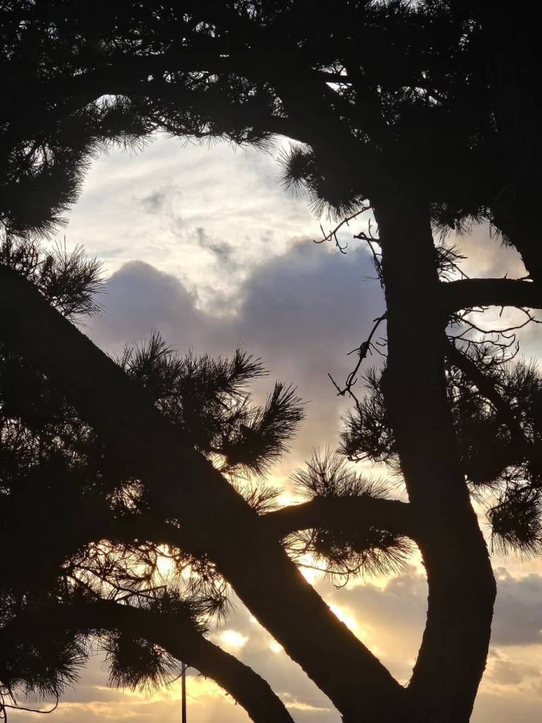 heart cloud donna hines