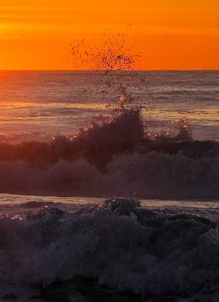 wave crashing jj mclaughlin Best of Ocean City Photo Contest 2026