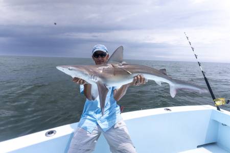 Photo 3: Sandbar Shark. Shared with permission by Mark Sampson